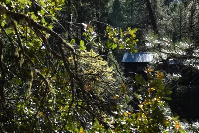 DSC_6447 (Large).JPG